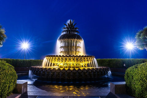 Usa-South Carolina-Charleston Black Ornate Wood Framed Art Print with Double Matting by Looney, Hollice