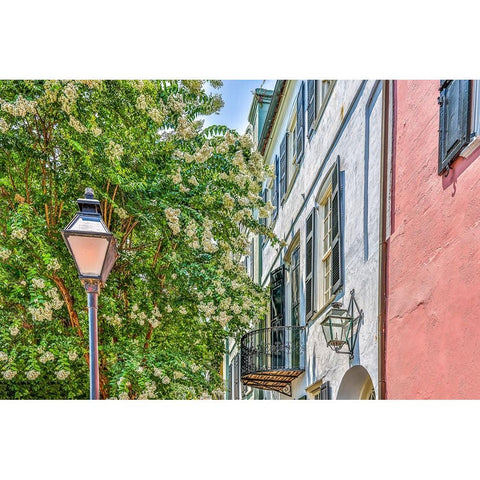 Usa-South Carolina-Charleston Black Modern Wood Framed Art Print by Looney, Hollice