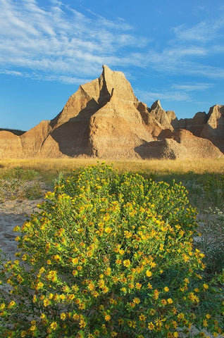 Badlands National Park-South Dakota Black Ornate Wood Framed Art Print with Double Matting by Majchrowicz, Alan