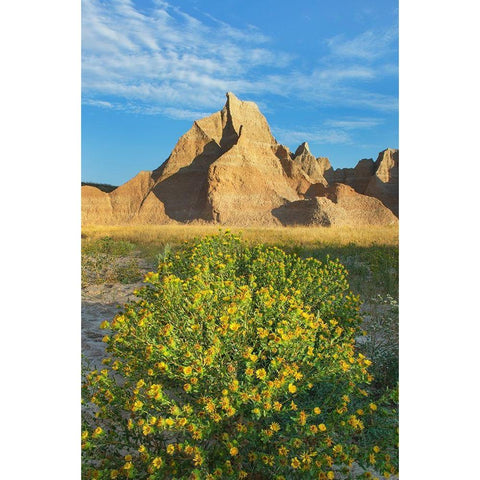 Badlands National Park-South Dakota Black Modern Wood Framed Art Print by Majchrowicz, Alan