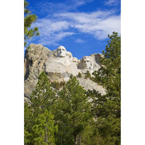 South Dakota Overview of Mount Rushmore Gold Ornate Wood Framed Art Print with Double Matting by Lord, Fred