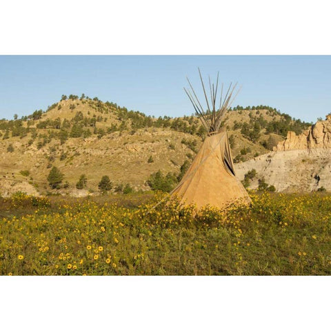 SD, Wild Horse Sanctuary Scenic with teepee Black Modern Wood Framed Art Print with Double Matting by Illg, Cathy and Gordon