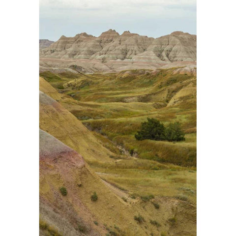 South Dakota, Badlands NP Wilderness landscape Black Modern Wood Framed Art Print by Illg, Cathy and Gordon