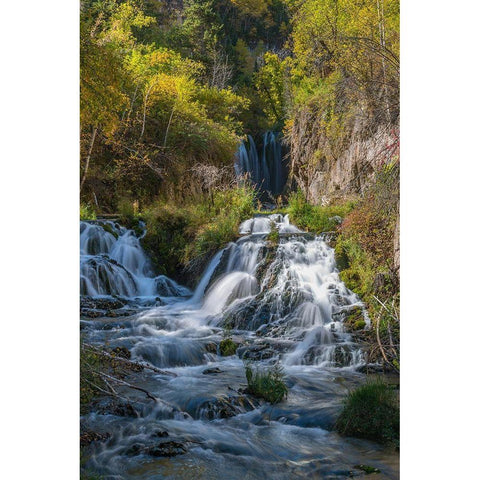 Vertical scenic of Roughlock Falls and autumn foliage-Spearfish Canyon-South Dakota-Black Hills White Modern Wood Framed Art Print by Garber, Howie