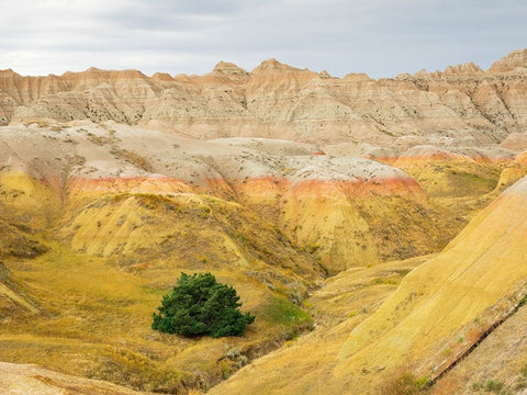 South Dakota- Badlands National Park. Badlands rock formations- Yellow Mounds Black Modern Wood Framed Art Print by Wild, Jamie and Judy