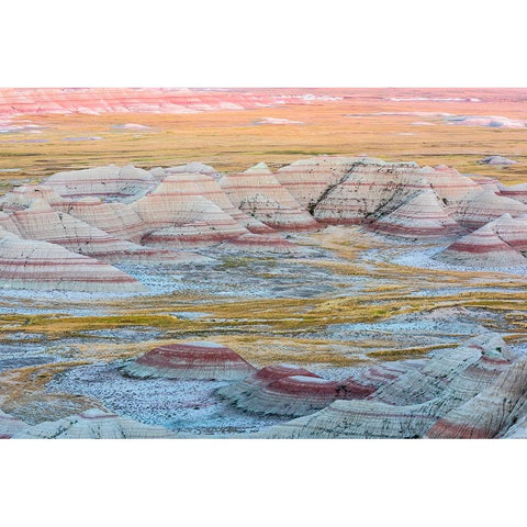 A circular grouping of hoodoo mounds-interspersed with yellow grasses-pinks and red mixed in Black Modern Wood Framed Art Print with Double Matting by Haddad, Sheila