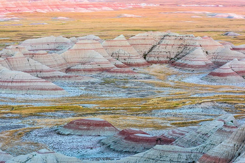 A circular grouping of hoodoo mounds-interspersed with yellow grasses-pinks and red mixed in Black Ornate Wood Framed Art Print with Double Matting by Haddad, Sheila