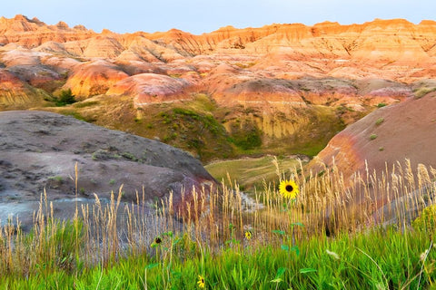 A painterly image of softer hoodoos set against a row of wildflowers and grass White Modern Wood Framed Art Print with Double Matting by Haddad, Sheila