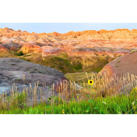 A painterly image of softer hoodoos set against a row of wildflowers and grass Black Modern Wood Framed Art Print by Haddad, Sheila