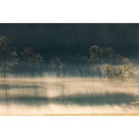 Foggy meadow at sunrise-Cades Cove-Smoky Mountains National Park-Tennessee White Modern Wood Framed Art Print by Jones, Adam
