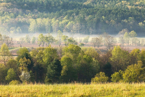 Foggy meadow at sunrise-Cades Cove-Smoky Mountains National Park-Tennessee White Modern Wood Framed Art Print with Double Matting by Jones, Adam