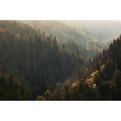 Spring sunset from Morton Overlook-Great Smoky Mountains National Park-Tennessee Black Modern Wood Framed Art Print by Jones, Adam