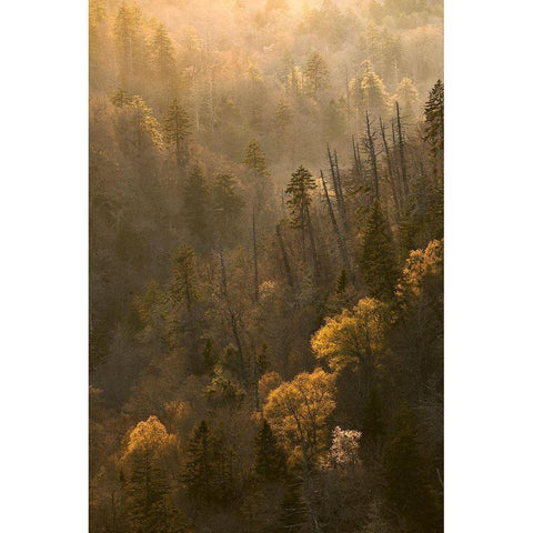 Spring sunset from Morton Overlook-Great Smoky Mountains National Park-Tennessee Black Modern Wood Framed Art Print with Double Matting by Jones, Adam