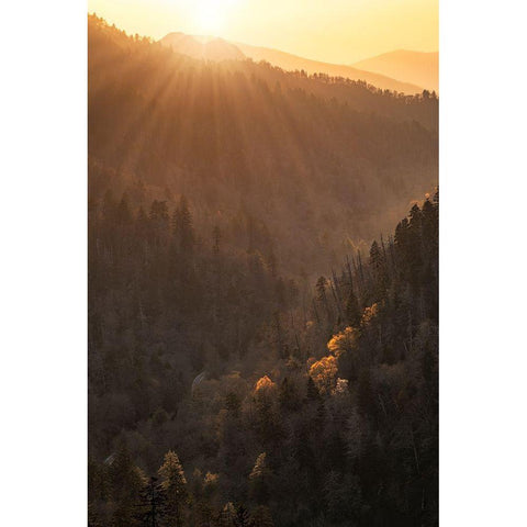 Spring sunset from Morton Overlook-Great Smoky Mountains National Park-Tennessee Black Modern Wood Framed Art Print by Jones, Adam