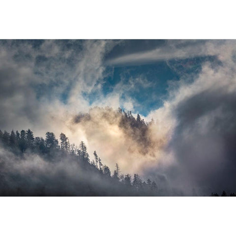 Mist and sunlight in the mountains-Great Smoky Mountain National Park-Tennessee Black Modern Wood Framed Art Print with Double Matting by Jones, Adam