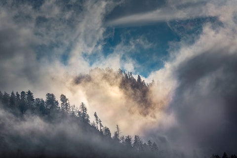Mist and sunlight in the mountains-Great Smoky Mountain National Park-Tennessee White Modern Wood Framed Art Print with Double Matting by Jones, Adam