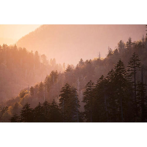 Sunset from Morton Overlook-Great Smoky Mountains National Park-Tennessee Gold Ornate Wood Framed Art Print with Double Matting by Jones, Adam