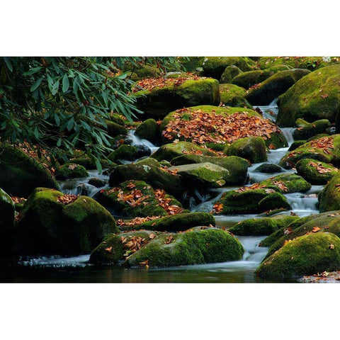Water Falling over Boulders on Roaring Fork Motor Nature Trail Black Modern Wood Framed Art Print with Double Matting by Miller, Anna