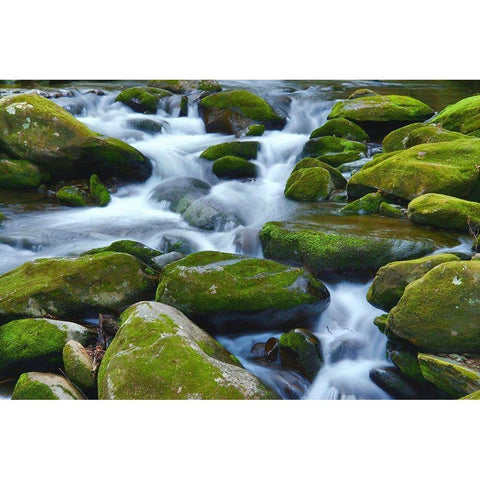 Water Falling over Boulders on Roaring Fork Motor Nature Trail Black Modern Wood Framed Art Print by Miller, Anna
