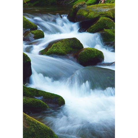 Water Falling over Boulders on Roaring Fork Motor Nature Trail Gold Ornate Wood Framed Art Print with Double Matting by Miller, Anna