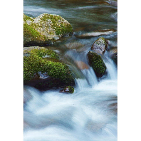 Water Falling over Boulders on Roaring Fork Motor Nature Trail Black Modern Wood Framed Art Print with Double Matting by Miller, Anna