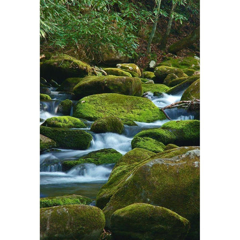 Water Falling over Boulders on Roaring Fork Motor Nature Trail Black Modern Wood Framed Art Print by Miller, Anna