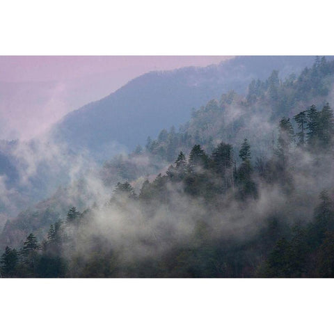 Mountain Clouds at Newfound Gap-Smoky Mountains National Park-Tennessee-USA Black Modern Wood Framed Art Print with Double Matting by Miller, Anna