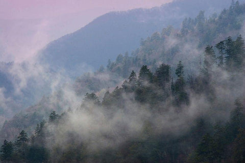 Mountain Clouds at Newfound Gap-Smoky Mountains National Park-Tennessee-USA Black Ornate Wood Framed Art Print with Double Matting by Miller, Anna
