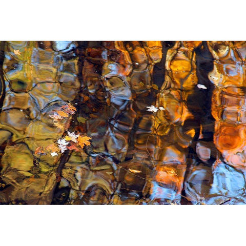 Reflections in Smoky Mountain Creek-Tennessee-USA Black Modern Wood Framed Art Print by Miller, Anna