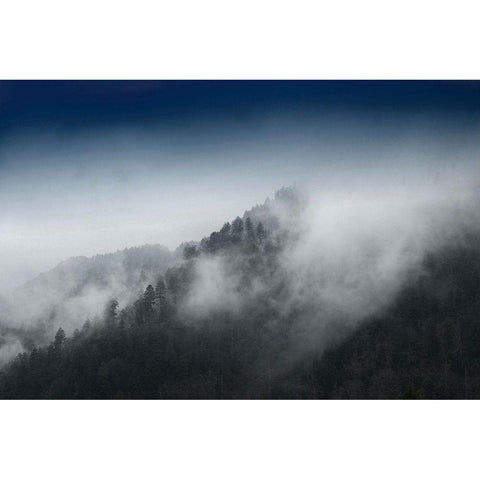 Mountain Clouds at Newfound Gap-Smoky Mountains National Park-Tennessee-USA White Modern Wood Framed Art Print by Miller, Anna