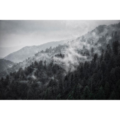 Mountain Clouds at Newfound Gap-Smoky Mountains National Park-Tennessee-USA White Modern Wood Framed Art Print by Miller, Anna