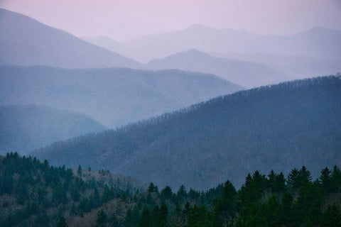 Smoky Mountain View-Tennessee-USA Black Ornate Wood Framed Art Print with Double Matting by Miller, Anna