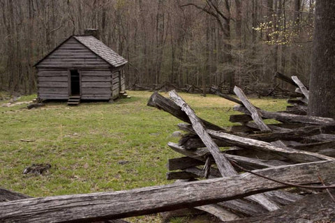 TN, Great Smoky Mts Abandoned cabin and fence Black Ornate Wood Framed Art Print with Double Matting by Kaveney, Wendy