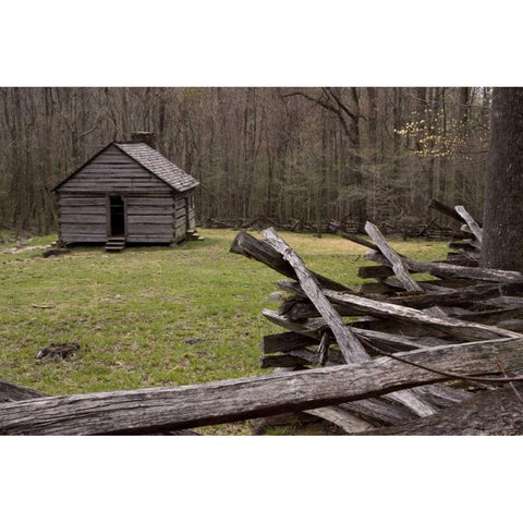 TN, Great Smoky Mts Abandoned cabin and fence Gold Ornate Wood Framed Art Print with Double Matting by Kaveney, Wendy