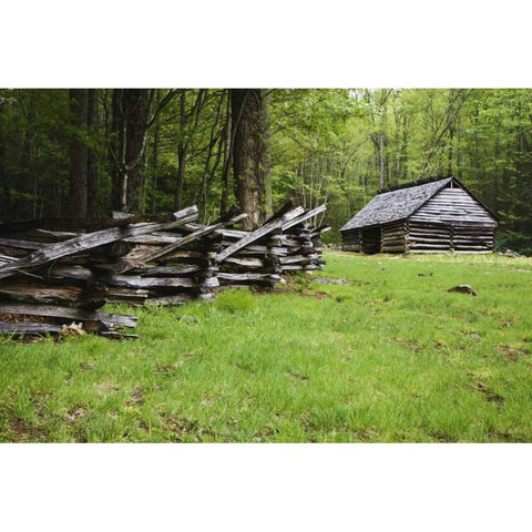 TN, Great Smoky Mts Fence and abandoned stable White Modern Wood Framed Art Print by Flaherty, Dennis