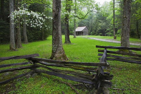 TN, Great Smoky Mts Fence and abandoned cabin Black Ornate Wood Framed Art Print with Double Matting by Flaherty, Dennis