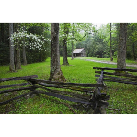 TN, Great Smoky Mts Fence and abandoned cabin Gold Ornate Wood Framed Art Print with Double Matting by Flaherty, Dennis