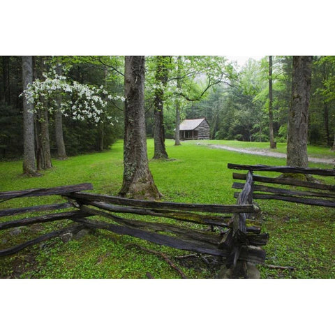 TN, Great Smoky Mts Fence and abandoned cabin Black Modern Wood Framed Art Print by Flaherty, Dennis