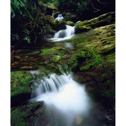 Tennessee, Stream in The Great Smoky Mts White Modern Wood Framed Art Print by Talbot Frank, Christopher