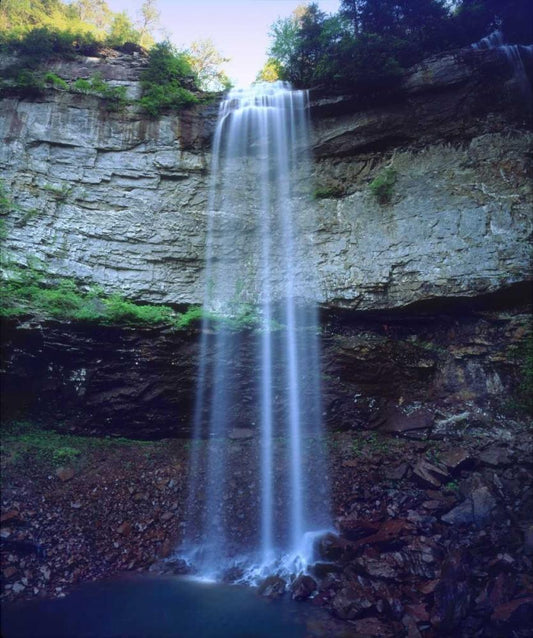 Image Only