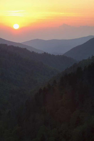 Tennessee, Great Smoky Mts Morton Overlook Black Ornate Wood Framed Art Print with Double Matting by Flaherty, Dennis