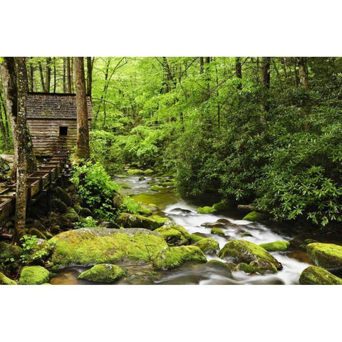 TN The Tub Mill along the Roaring Fork creek Black Modern Wood Framed Art Print with Double Matting by Flaherty, Dennis