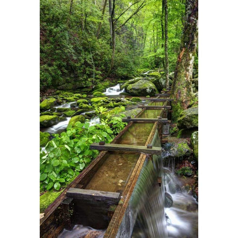 TN, Great Smoky Mts View of the Tub Mill flume Black Modern Wood Framed Art Print with Double Matting by Flaherty, Dennis