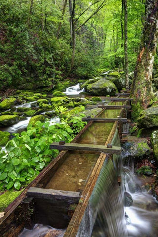 TN, Great Smoky Mts View of the Tub Mill flume Black Ornate Wood Framed Art Print with Double Matting by Flaherty, Dennis