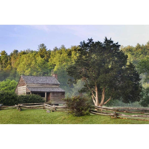 TN, Great Smoky Mts Pioneer cabin in Cades Cove Gold Ornate Wood Framed Art Print with Double Matting by Flaherty, Dennis