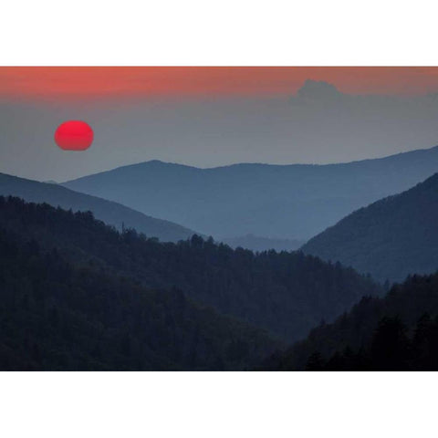 Tennessee, Great Smoky Mts Morton Overlook White Modern Wood Framed Art Print by Flaherty, Dennis