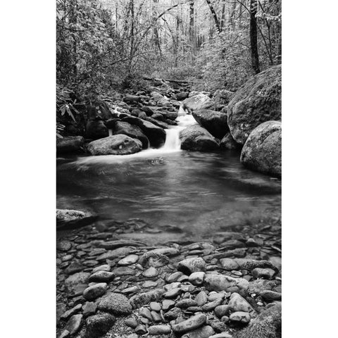 TN, Great Smoky Mts Cascading creek and pool Black Modern Wood Framed Art Print with Double Matting by Flaherty, Dennis