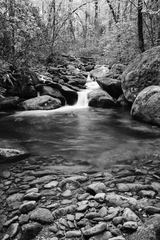 TN, Great Smoky Mts Cascading creek and pool White Modern Wood Framed Art Print with Double Matting by Flaherty, Dennis