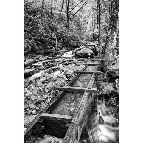 TN, Great Smoky Mts Wooden spillway Gold Ornate Wood Framed Art Print with Double Matting by Flaherty, Dennis