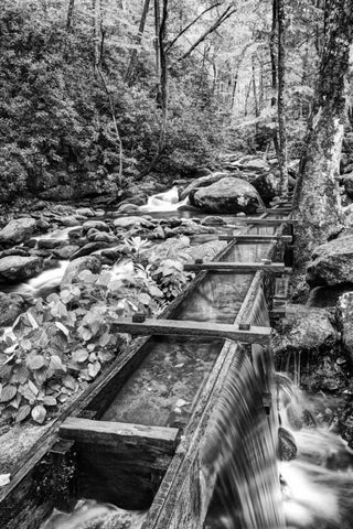 TN, Great Smoky Mts Wooden spillway White Modern Wood Framed Art Print with Double Matting by Flaherty, Dennis